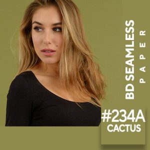 BD Cactus #234A Seamless Paper Background
