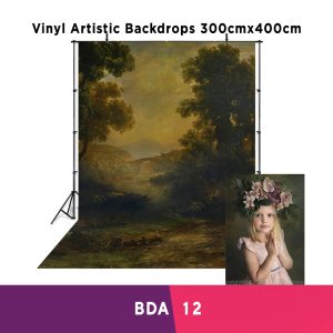 Vinly Artistic Backdrops BDA-12