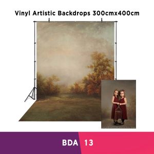Vinly Artistic Backdrops BDA-13