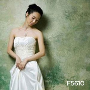 Elite Crushed Fantasy Canvas Backdrops F5610